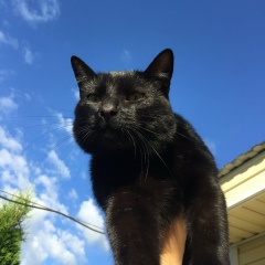Александр Рыжиков, 28.06.1988, Санкт-Петербург