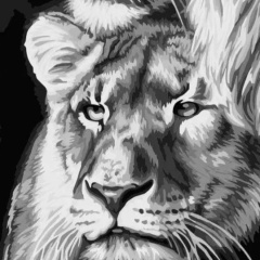 Ригина Евстигнеева, 26.05, Люберцы