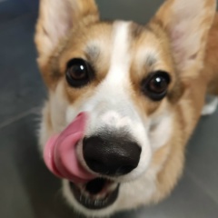 Таня Протас, Москва