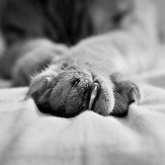 Елена Зайцева, 16.10, Алматы