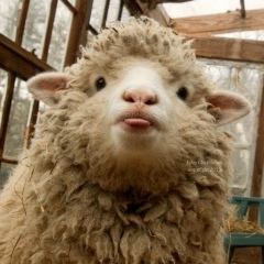 Натела Васильева, 17.07, Москва