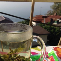 Грегорий Гонза, 04.08.1983, Москва