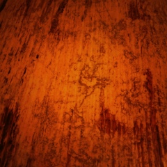 Петр Критов, 15.03, Москва