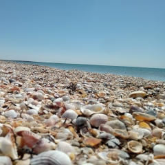 Александр Медников, 22.07, Москва