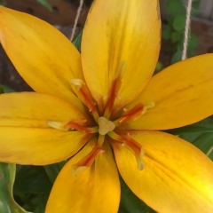 Julia Julietta, 08.04