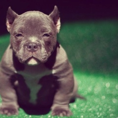 Стёпа Раевский, 17.05.1990, Санкт-Петербург