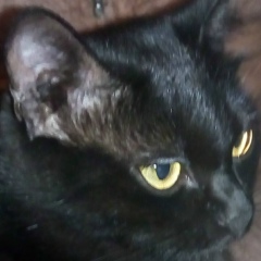 Лариса Александрова, 04.06.1971