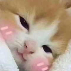 Арай Нурмуханова, 05.08, Астана