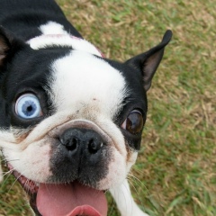 Иван Сапрыкин, 03.05.1986, Москва