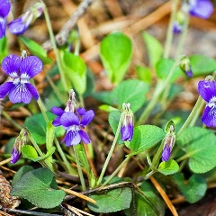 Ольга Тараканова, 29.05.1981, Медвежьегорск