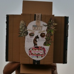 Герман Константинов, 03.09, Barcelona