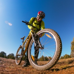 Александр Вакулов, Севастополь