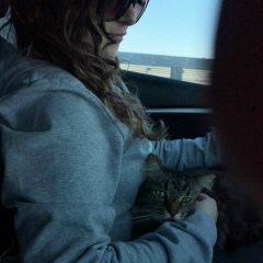 Александра Мельцер, 04.06, Москва