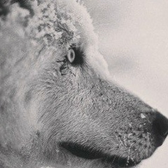 Нурлан Нигмет, 22.08.1986, Атырау