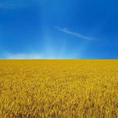 Сергей Пуд, 19.12.1987, Киев