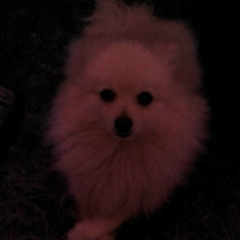 Лариса Ауелбек, 27.05, Алматы