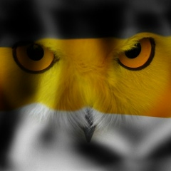 Георгий Фильцов, 09.07, Москва