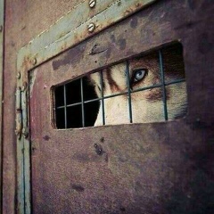 Amir Ganchaev, 22.11, Грозный