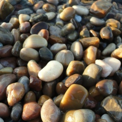 Ольга , 26.03, Алматы