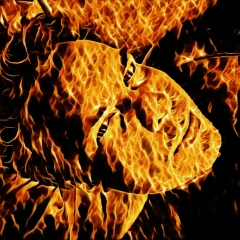 Илья Беляков, 03.07.1984, Санкт-Петербург