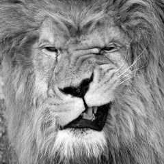 Ерлан Тулешов, Актау