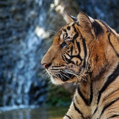 Анатолий Слободенюк, 04.03.1986, Владивосток