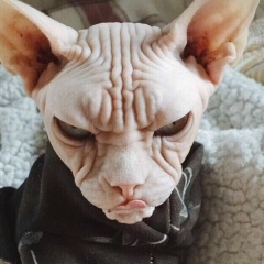 Иван Таран, 20.06