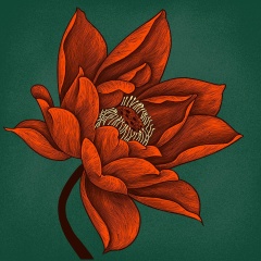 Sasha Rigpa, 03.12, Tokyo