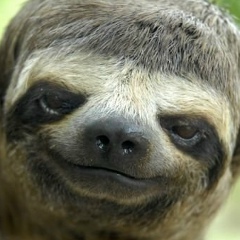 Александр Бузенков, 06.10.1987, Жуковский