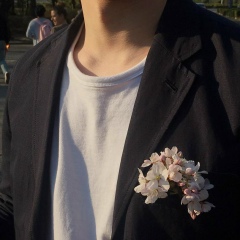 Мухаммеджан Еркул, 14.06, Chicago