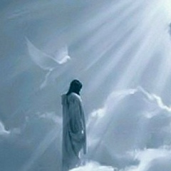 Артём Бахуто, 09.05.1982, Краснодар