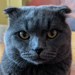 Александр Мещеряков, 26.03.1980, Санкт-Петербург