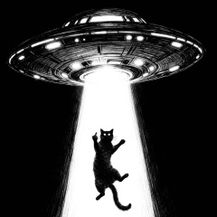 Сорок Седьмой, Санкт-Петербург