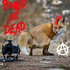 Юрий Меречин, 24.04, Путивль