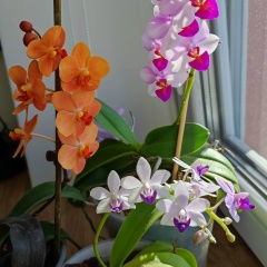 Юлия Зинченко, 22.02, Днепр (Днепропетровск)