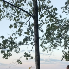 Николай Зимарин, 19.11.1989, Волгоград