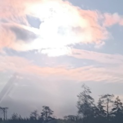 Андрей Федотов, 15.06, Череповец