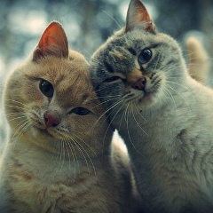 Егор Мурашкин, 09.05