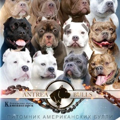 Ирина Ким, 12.10, Санкт-Петербург