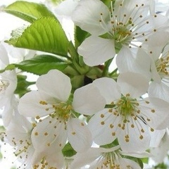 Рахмат Рахмат, 12.05, Уфа