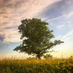 Дмитрий Алексеевич, 09.02, Санкт-Петербург