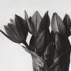 First Mixx, 06.08.1987, Москва