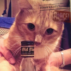 Даша Кисляковы, 24.09.1986, Москва