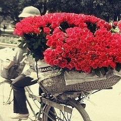 Шамиль Камилов, 14.10, Махачкала