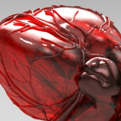 Рамазан Койлубаев, Москва