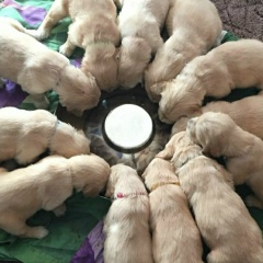 Антон Прошкин, 06.04.1985, Москва