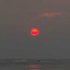 Наташа Красовская, Санкт-Петербург