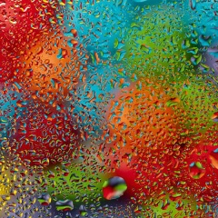 Нияз Хузяшев, 06.06.1986, Бишкек