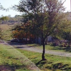 Элени Mihailidi, 16.12.1988, Спарта