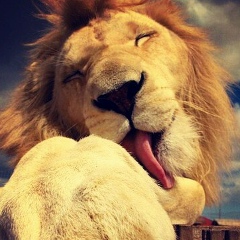 Александр Сергиенко, 30.07, Алматы